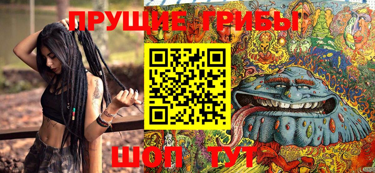 Галлюциногенные грибы Cubensis Узловая